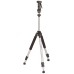 50-Inch Lightweight Tripod with Bag