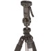 50-Inch Lightweight Tripod with Bag