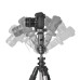 50-Inch Lightweight Tripod with Bag