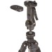 50-Inch Lightweight Tripod with Bag