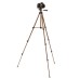 50-Inch Lightweight Tripod with Bag