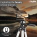 DIGITEK® DTR 550LW 170 CM Tripod For DSLR Camera