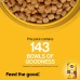 Pedigree Adult Dry Dog Food- Chicken & Vegetables, 1.2kg Pack