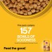 Pedigree Adult Dry Dog Food- Chicken & Vegetables, 1.2kg Pack